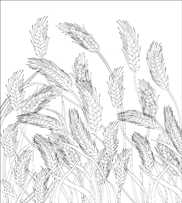 小麦底纹PNG透明图，高清植物装饰素材，免费下载
