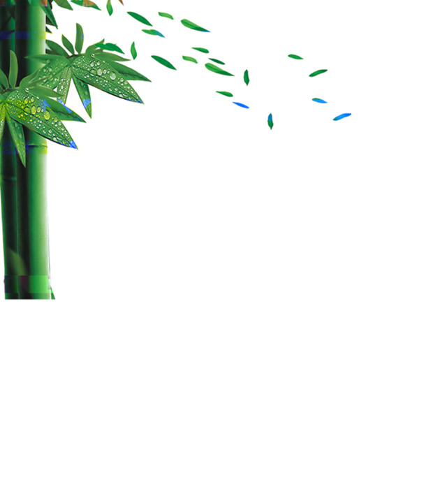 端午节竹叶元素，清新PNG透明图片，高清设计素材免费下载