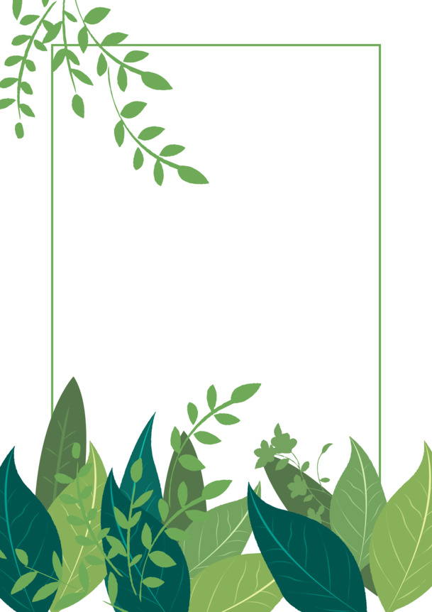 彩色植物叶子PNG透明图，创意装饰边框，高清素材下载