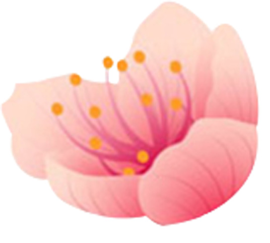 春日桃花盛放，高清PNG透明图片，漂浮花瓣元素，设计素材免费下载