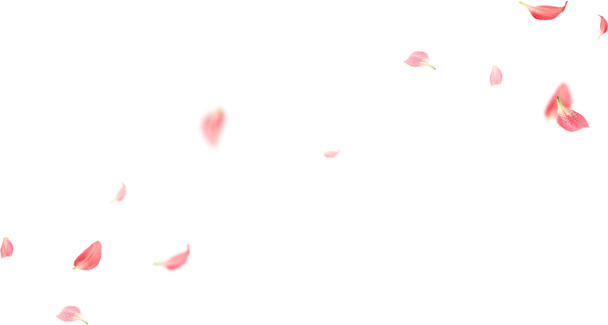 随风轻舞，红瓣飘扬，高清PNG透明漂浮花瓣图片，设计素材免费下载