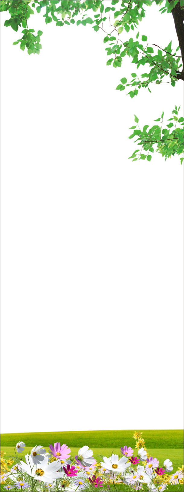 展板设计必备，动植物元素高清PNG透明底纹图片素材免费下载