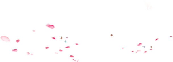 漂浮花瓣PNG透明图片，高清设计素材，免费下载花瓣漂浮元素