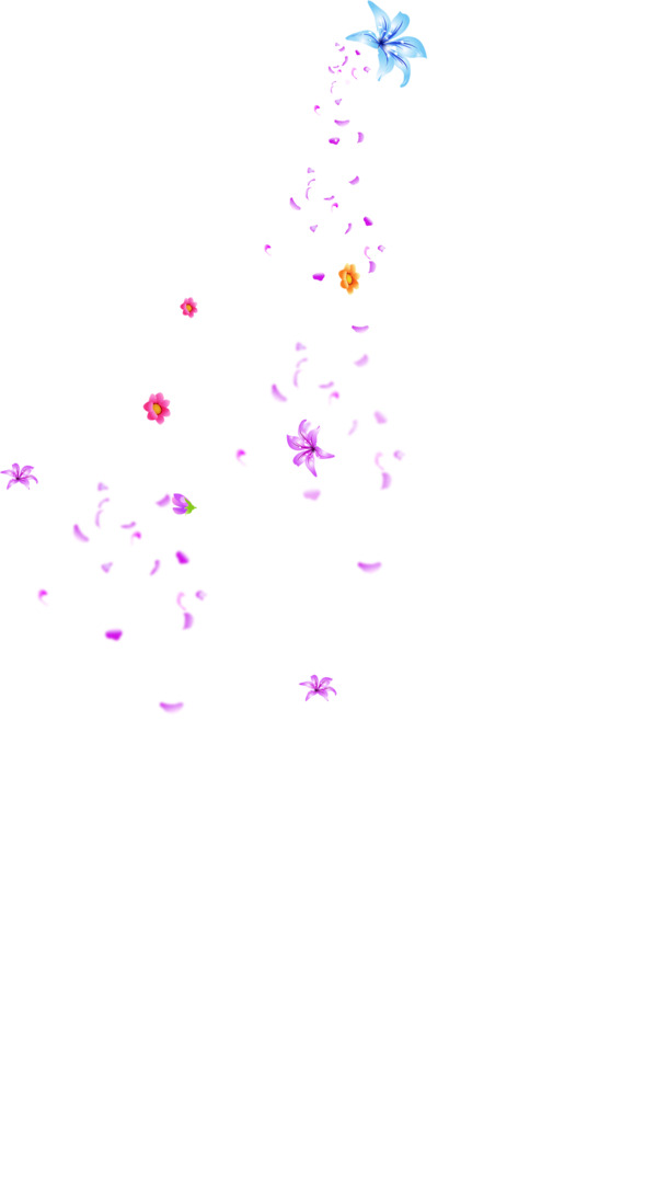 中秋节促销，高清PNG透明花瓣漂浮元素，创意图片素材下载
