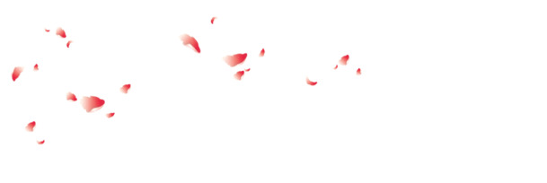 高清PNG透明素材，红色花瓣飘落漂浮元素，设计必备下载