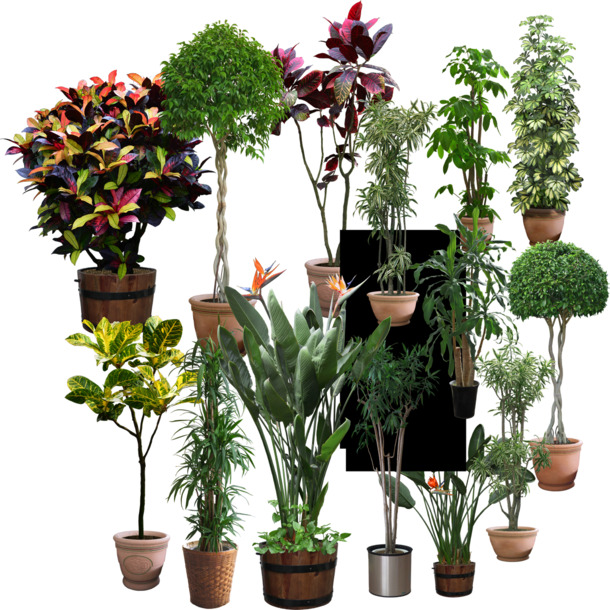 3D花盆模型PNG透明图，高清植物装饰元素，设计素材免费下载