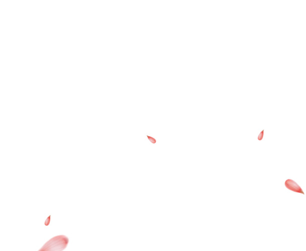 粉色花朵漂浮PNG透明图片，高清叶子设计素材，免费下载
