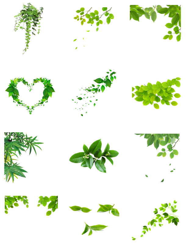 通用节日绿色树叶PNG/PSD素材，高清透明动植物元素，真实高清设计下载