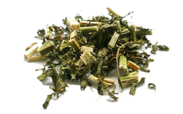 益母草烘干PNG透明图，高清装饰元素，植物图片素材下载