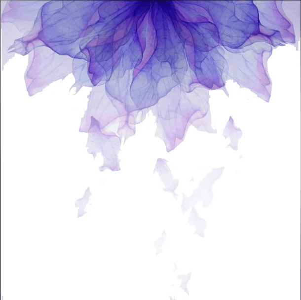 花卉PNG透明图集，高清漂浮花瓣素材，免费下载