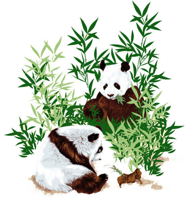 手绘大熊猫图案，唯美高清PNG透明图片，卡通元素设计素材下载