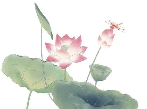 手绘小清新荷花PNG透明图，卡通元素PSD素材免费下载