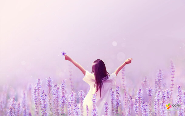 紫色梦幻薰衣草美女壁纸，高清PNG透明背景，摄影风景素材下载