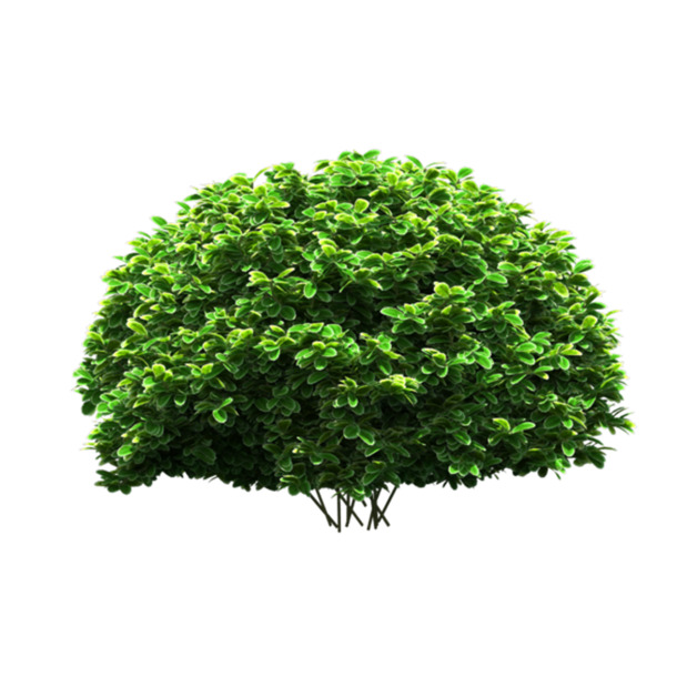 平面灌木PNG透明图，动植物元素设计素材高清下载