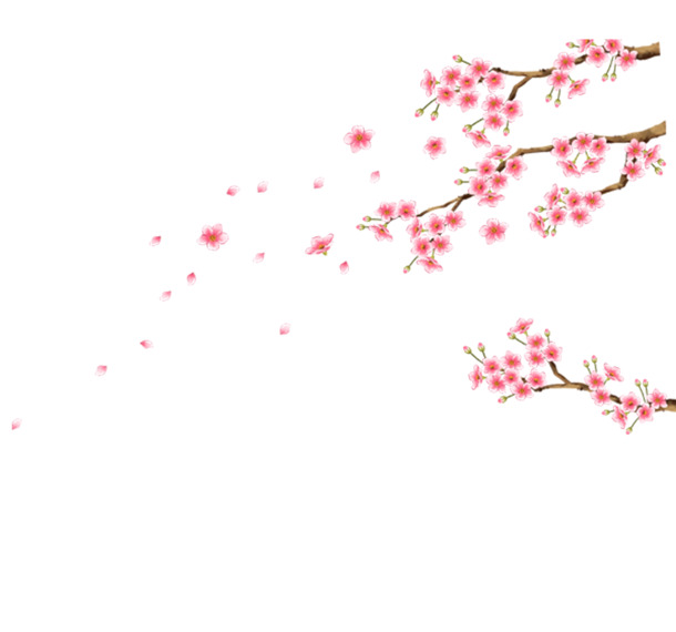 粉色手绘桃花PNG透明图片，高清装饰图案，花瓣漂浮元素，设计素材下载
