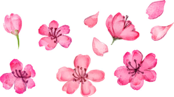 粉色花瓣矢量手绘，高清PNG透明图片，漂浮元素设计素材，AI格式免费下载