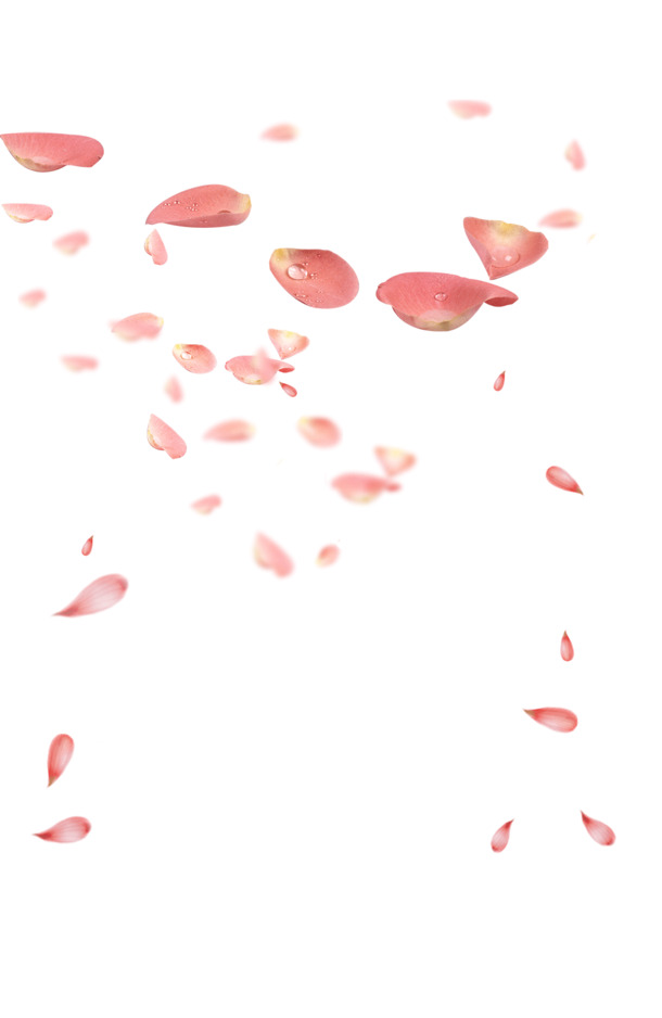 浪漫花瓣PNG透明图，高清漂浮元素，设计素材免费下载