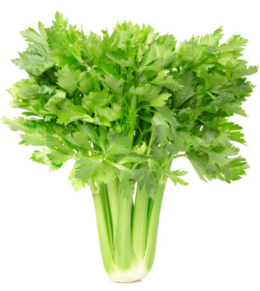 高清绿色鲜嫩芹菜PNG透明图片，植物装饰元素设计素材下载