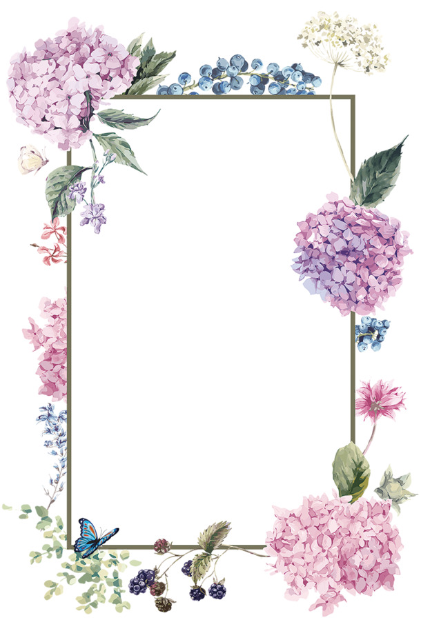 手绘绣球花边框素材，高清PNG透明图片，PSD格式设计元素免费下载