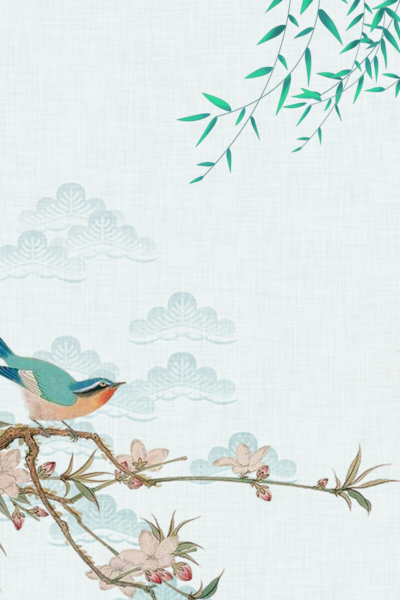 古典春季花鸟新品，浅绿背景高清JPG，中国风设计素材下载