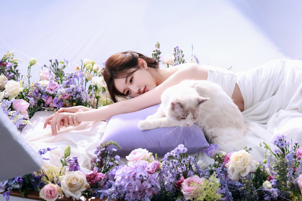赵露思与猫共舞，鲜花映衬下的美女4K唯美壁纸，高清大图下载