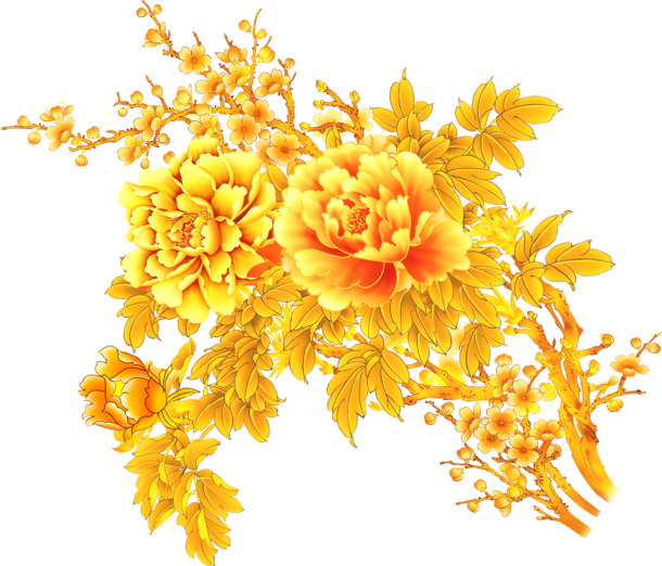 高清黄色牡丹花PNG透明图，艺术花朵装饰元素，设计素材下载