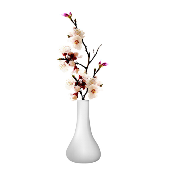 花瓶PNG透明图，精美花纹装饰元素，高清设计素材下载