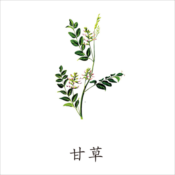 甘草PNG透明图，动植物元素植物设计素材，高清下载