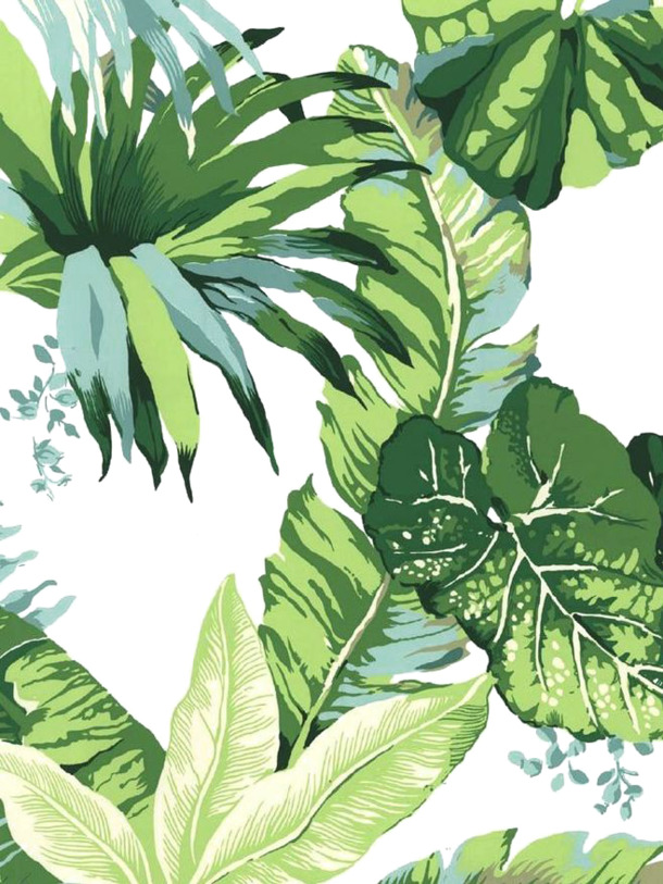 高清PNG透明植物底纹图片，精美装饰元素与设计素材下载