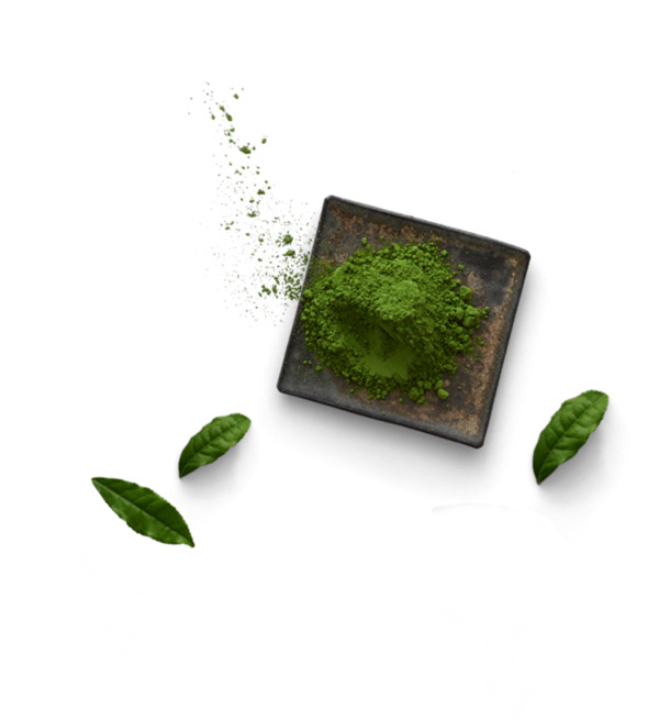 高清抹茶叶PNG透明图片，绿色健康装饰素材，创意设计生活用品图片