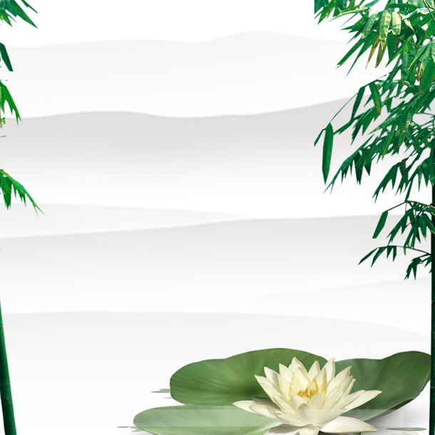 高清荷叶PNG背景图，动植物元素，透明设计素材下载