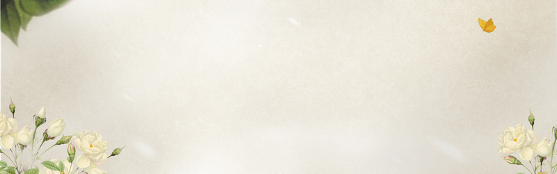 古典中国风花朵绘画，清新灰色banner，高清JPG/PSD素材下载