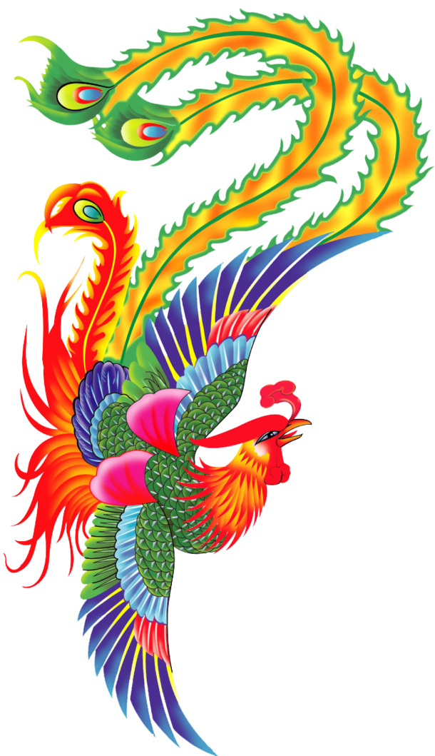 高清凤凰PNG透明图，精美动物装饰元素，设计素材下载