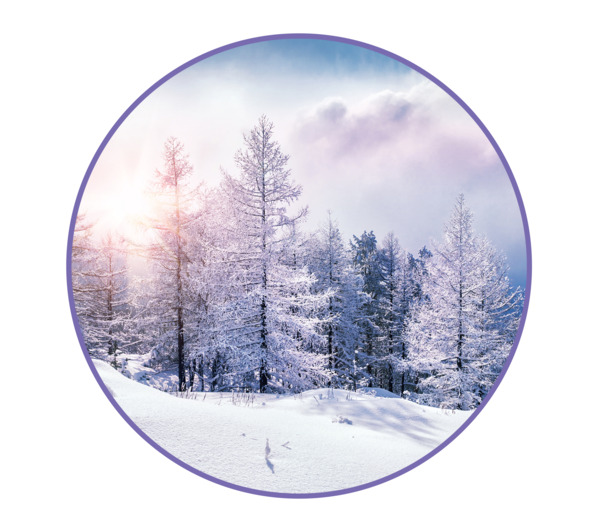 霜降节气艺术雪景，高清PNG透明背景元素，PSD设计素材下载