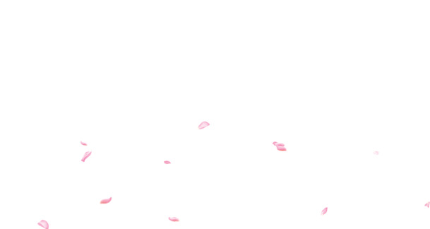 粉色时尚花瓣PNG透明图片，高清漂浮元素，创意图片设计素材下载