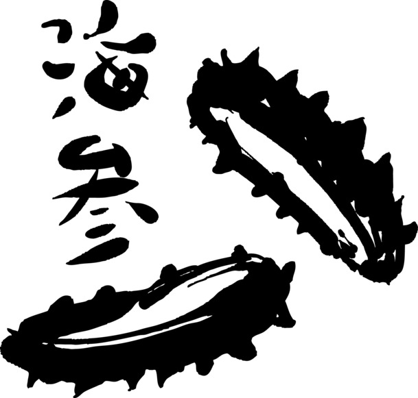 海参PNG透明图，高清装饰元素，墨迹笔触设计素材，免费下载