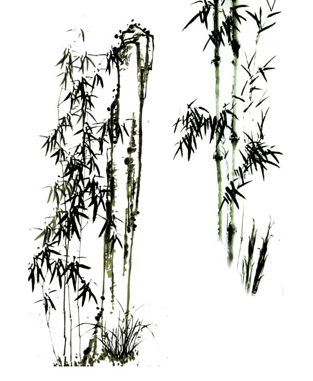 中国水墨风竹林描画，高清PNG透明装饰元素，植物设计素材下载