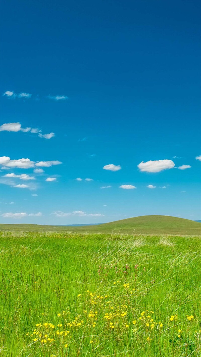 蓝牙白云草原摄影，高清JPG背景H5素材，风景图片设计下载