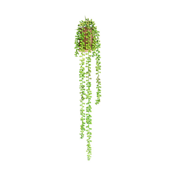 绿色垂枝高清PNG透明图，动植物元素，创意植物图片素材下载