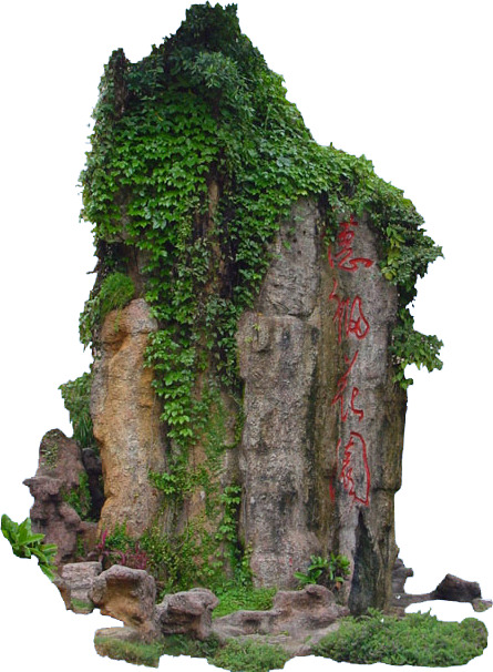 假山藤蔓高清PNG素材，绿色环境动植物元素透明图片下载