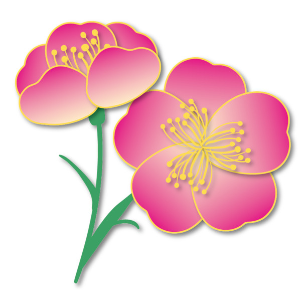 粉色立体樱花剪纸PNG透明图，动植物元素设计素材，AI格式高清下载