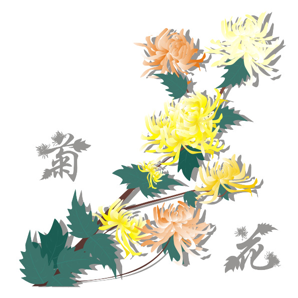 矢量秋菊PNG透明图，高清花瓣漂浮元素，设计素材下载