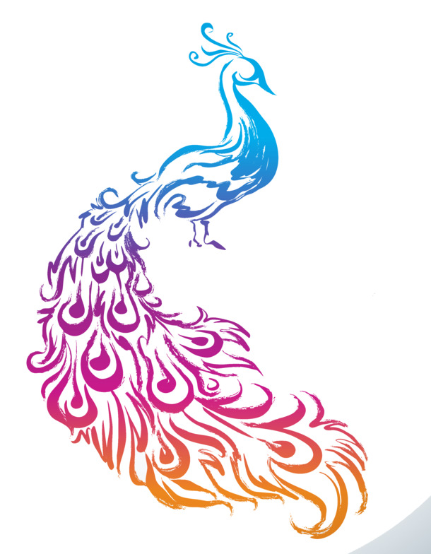 孔雀PNG透明图，高清装饰元素，动物设计素材下载