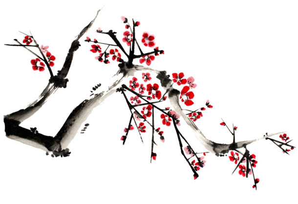 水墨梅花PNG透明图，装饰元素，笔触清晰，高清下载