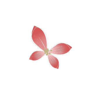 粉色四瓣花高清PNG透明素材，漂浮花瓣设计元素，免费下载