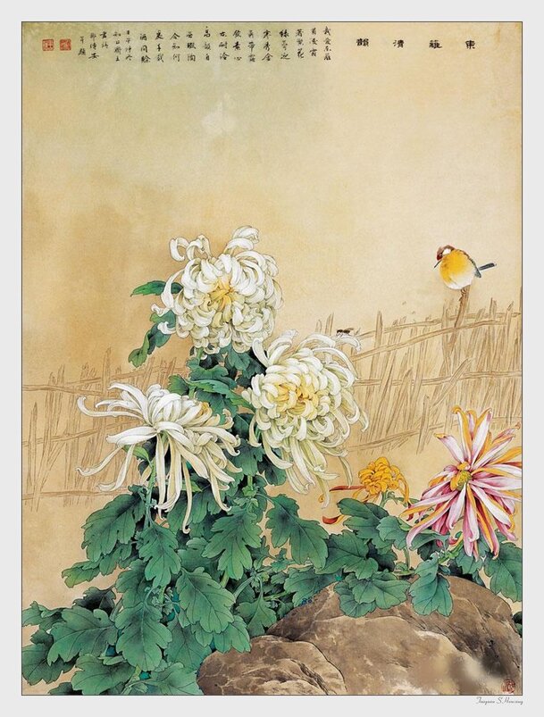 中国名家白色菊花画集，高清PNG透明背景，H5设计素材免费下载