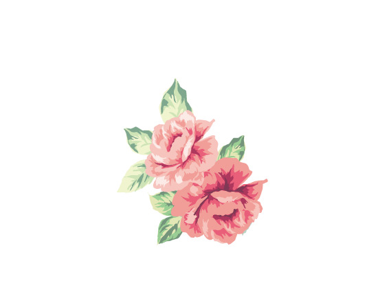 情人节花卉PNG透明图，高清节日元素，设计素材免费下载