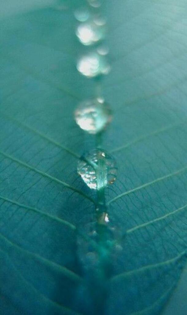 水珠静物高清PNG背景素材，透明设计元素，H5背景图片下载