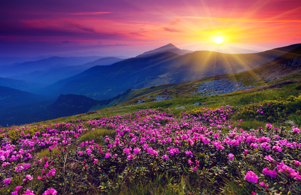 夕阳美景PNG透明背景，高清底纹设计素材，免费下载