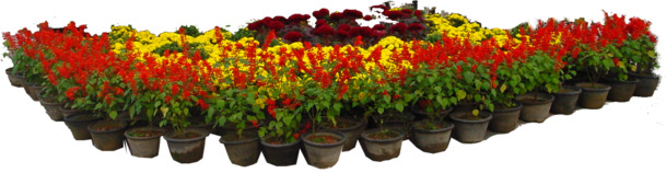 园艺花圃花坛PNG透明图，动植物元素设计素材高清下载